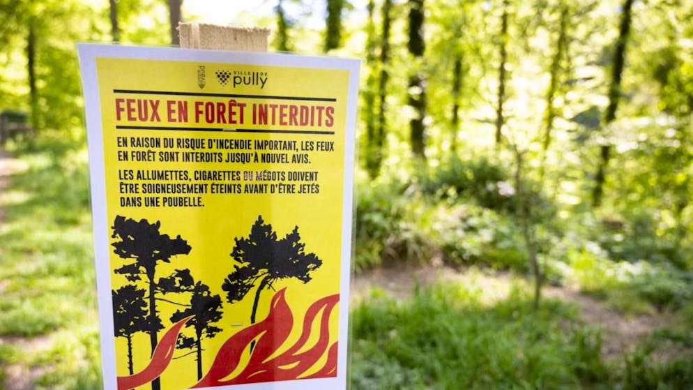 In several regions of Switzerland, the lights can only be lit in fixed foci (archives). drought: marked risk forest fire drought: marked risk forest fire new